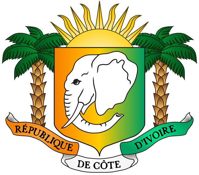 Logo DGDI